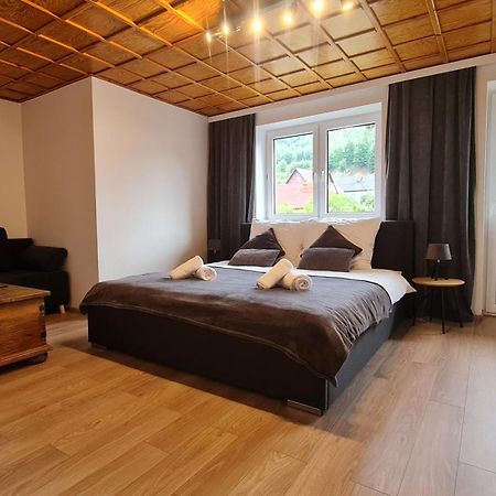 Apartament Szumia Plaziny Muszyna Zewnętrze zdjęcie