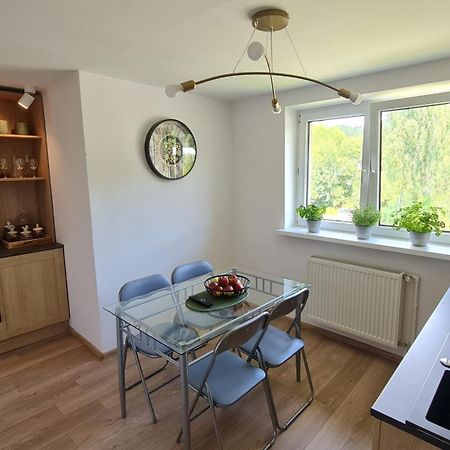 Apartament Szumia Plaziny Muszyna Zewnętrze zdjęcie