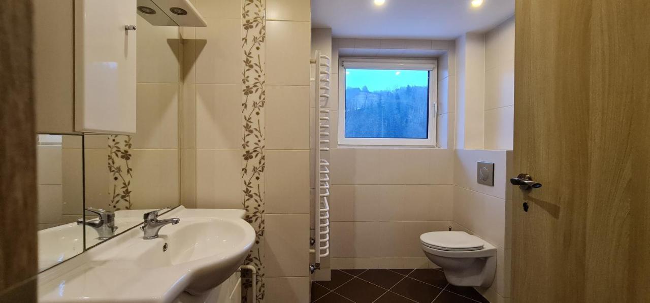 Apartament Szumia Plaziny Muszyna Zewnętrze zdjęcie