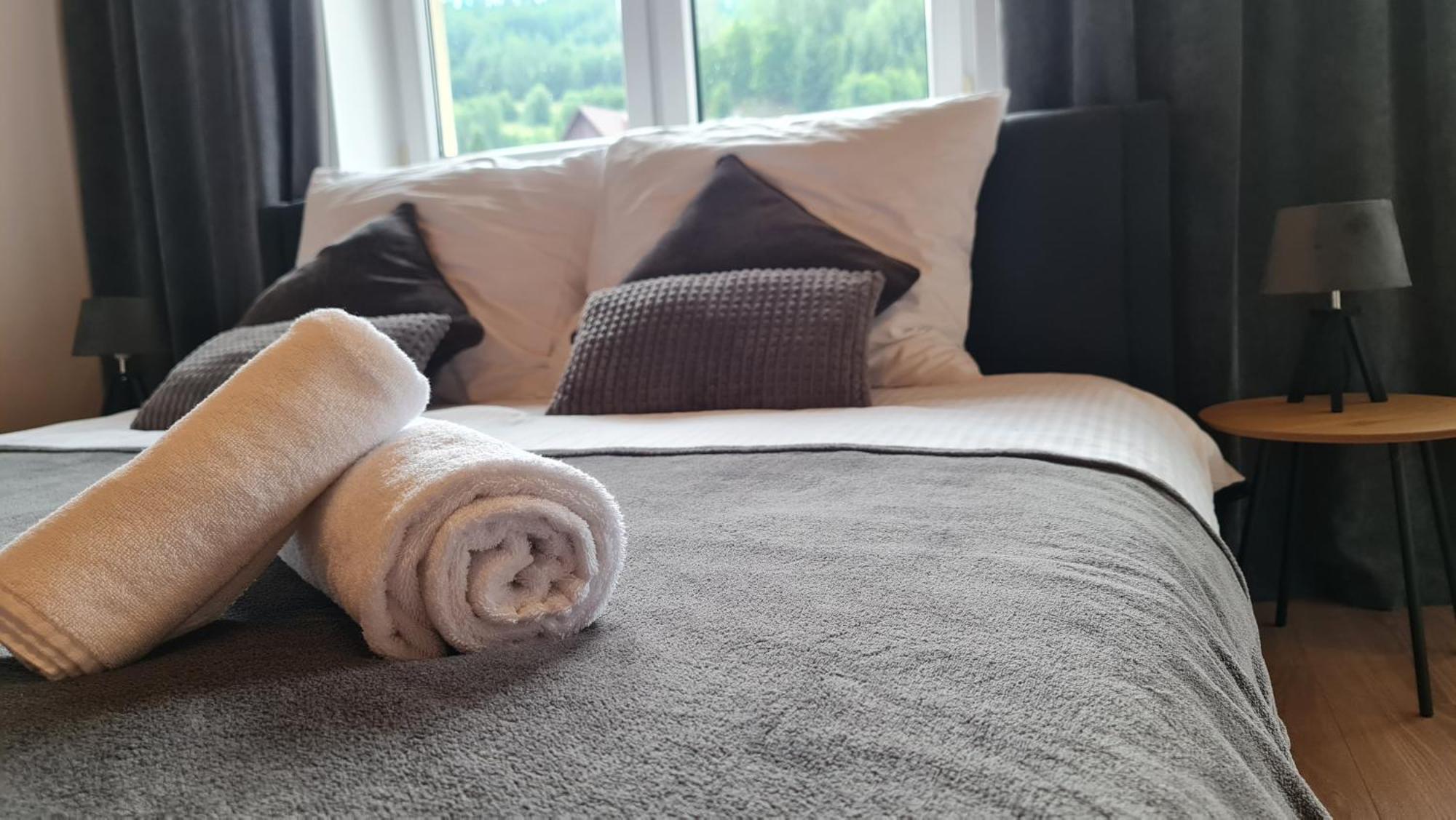 Apartament Szumia Plaziny Muszyna Zewnętrze zdjęcie